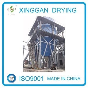 Egg Yolk Spray Dryer