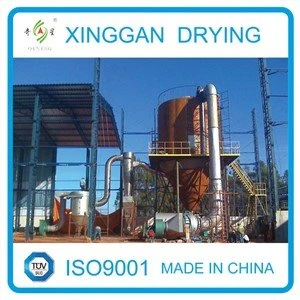 Milk Replacer Powder Spray Dryer
